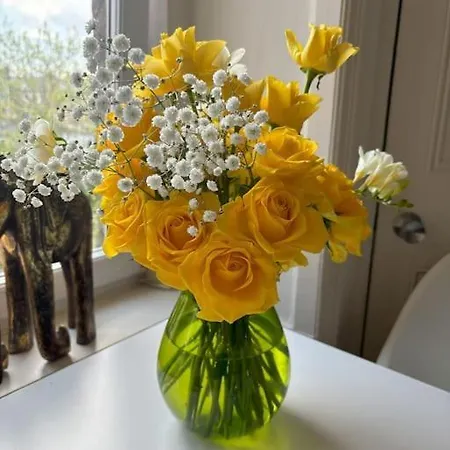Apartment Welcoming Morningside Escape *