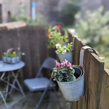 Apartment Lovely Modern One Bedroom Flat With Patio Area Edinburgh