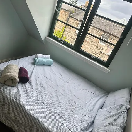 Cozy *