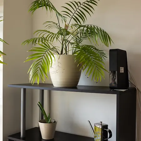 Comfy 2 Bedroom Near Centre Apartment