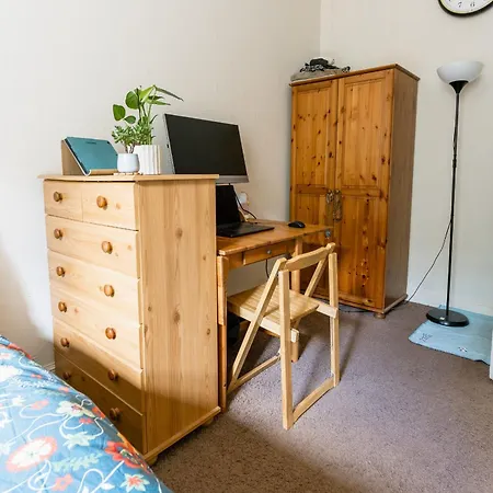 Palm Tree Apartment- Period With Cat