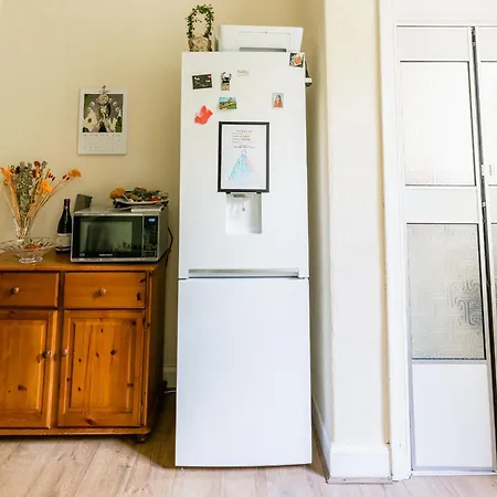 Apartment Palm Tree Apartment- Period With Cat *