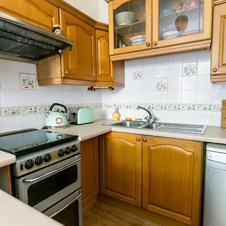 Palm Tree Apartment- Period With Cat