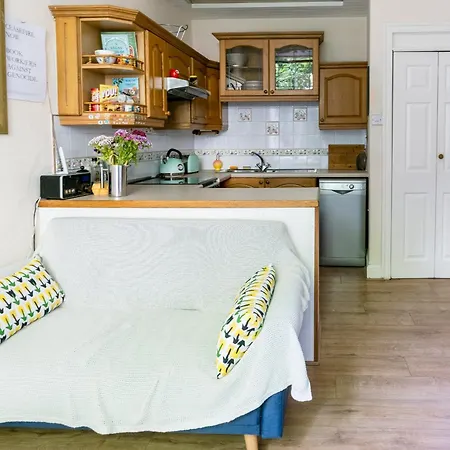 Palm Tree Apartment- Period With Cat *