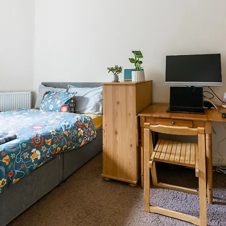 Apartment Palm Tree Apartment- Period With Cat