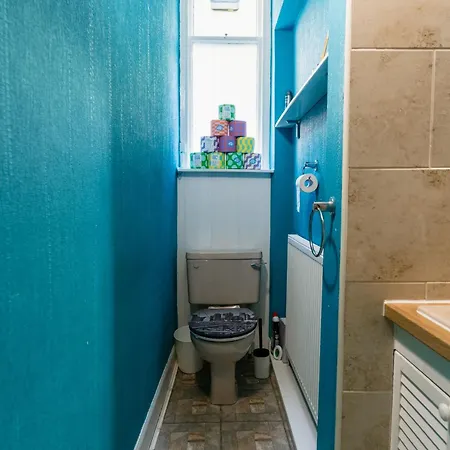 Palm Tree Apartment- Period With Cat * Edinburgh