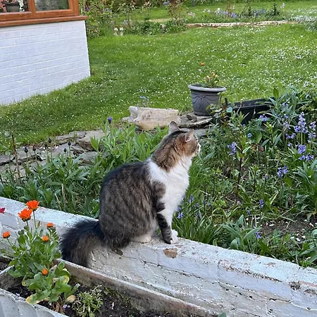 Relaxing, Cozy 1 Double * Εδιμβούργο