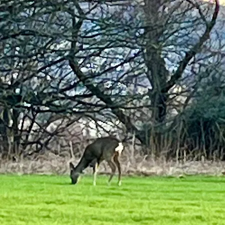 Δωμάτια σε οικογενειακή κατοικία Relaxing, Cozy 1 Double Εδιμβούργο