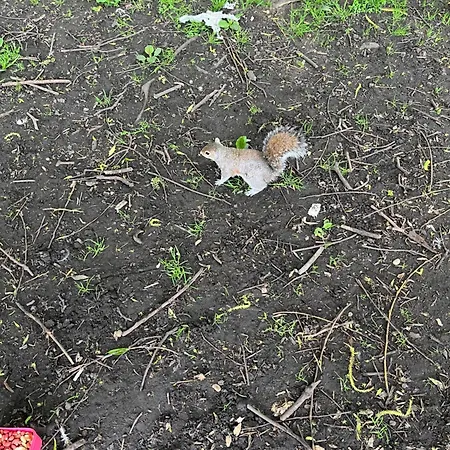 Relaxing, Cozy 1 Double