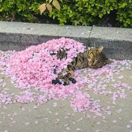 Relaxing, Cozy 1 Double