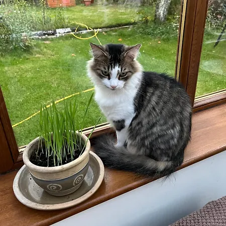 Séjour chez l'habitant Relaxing, Cozy 1 Double