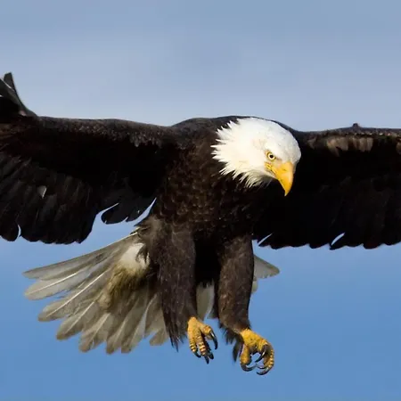 Eagles Land Appartamento