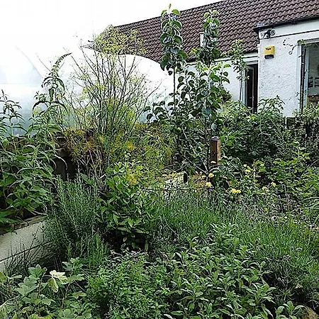 Charming For Share ,private Double , Fast Fibre Optik Int, Free Parking, Garden Bed & Breakfast Edinburgh