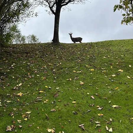 Relaxing, Cozy 1 Double Homestay