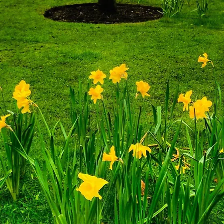 Homestay 1 Bed - 10 Min Walk To Castle *