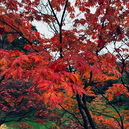 1 Bed - 10 Min Walk To Castle *