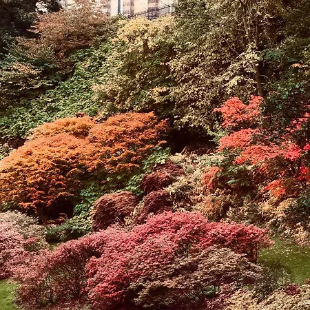 1 Bed - 10 Min Walk To Castle Edimburgo