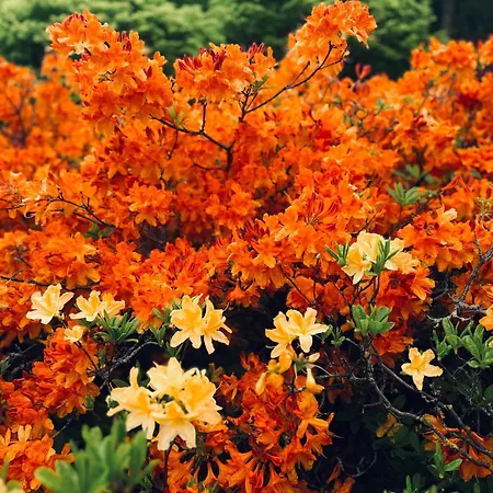 1 Bed - 10 Min Walk To Castle Quarto em Acomodações Particulares