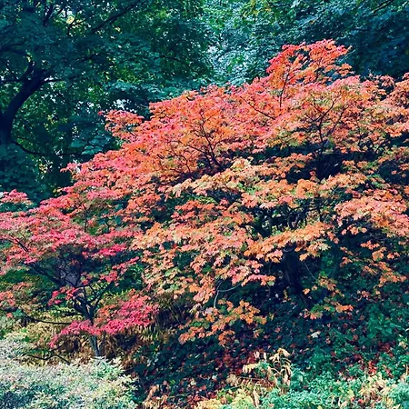 1 Bed - 10 Min Walk To Castle * Edimburgo