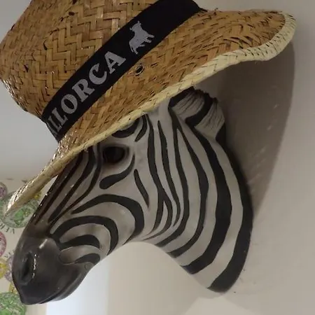 Modern 3bhk Near Zoo *