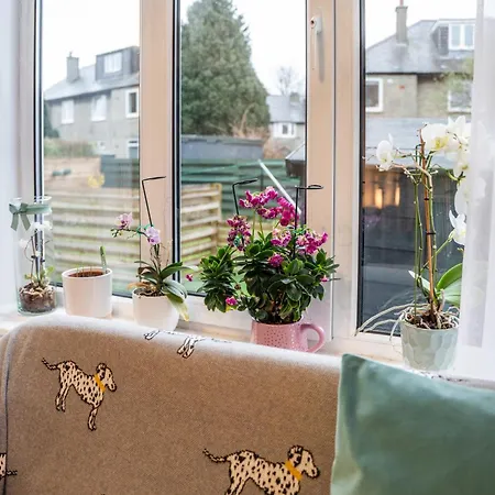 Accommodatie bij particulieren Large Bedroom, Close To Airport And Centre *