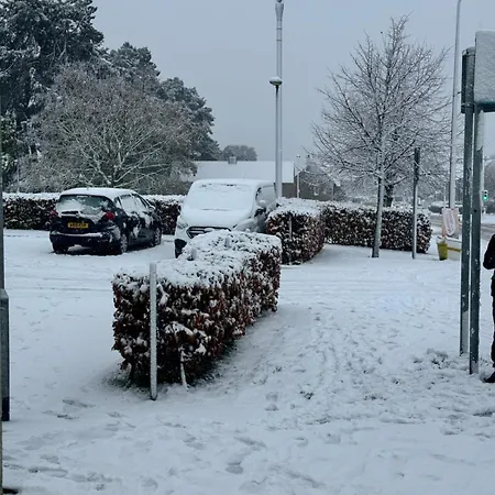 Apartament The Metro Oasis *