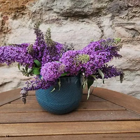 Apartment The Eyrie At Tweeddale Court - Historic Royal Mile *