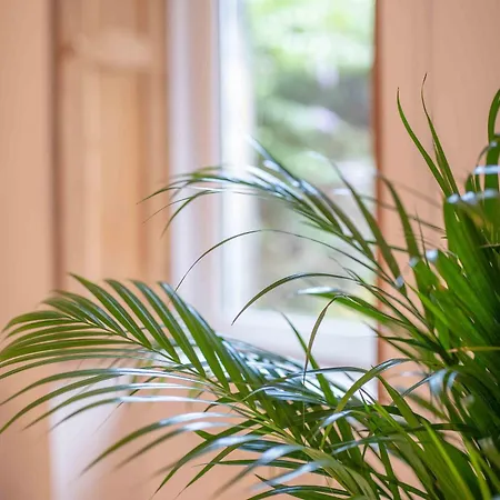 Artists Flat 7 Min To R Mile * エディンバラ