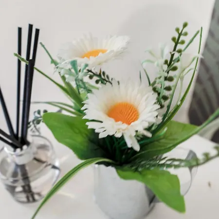Gorgeous, Cozy 2br Royal Mile-old Town 公寓 *
