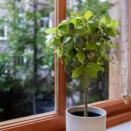 Central, Cozy 2br-1ba-haymarket - With Parking Apartment *