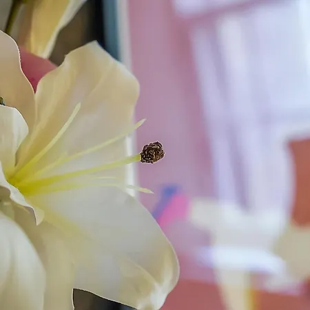 Beautiful Designer 2 Bed 2 Bath Old Town - Parking