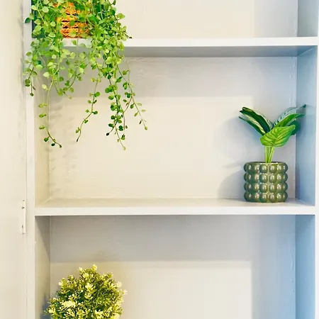 Deluxe Centre Apartment