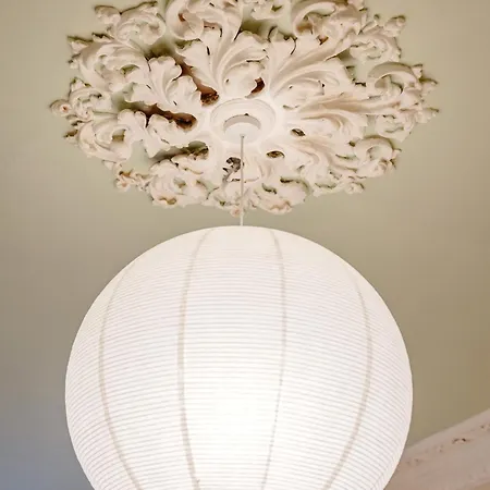 Beautiful Spacious Ground Floor Newington Flat