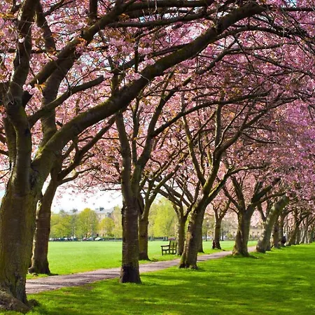 Cozy Flat Near Castle And With Free Private Parking