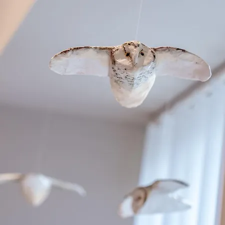 Unique Two Bed In Appartement