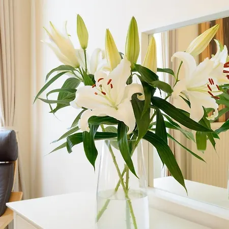 Beautiful Georgian 2 Bed Flat * Edinburg