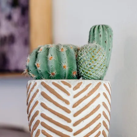 Cozy-free Parking-12 Mins Center Apartment