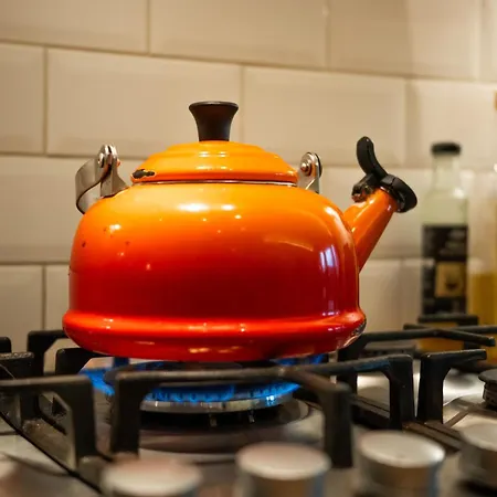 Apartment Spacious Flat, Close To The Centre With Scenic Views *