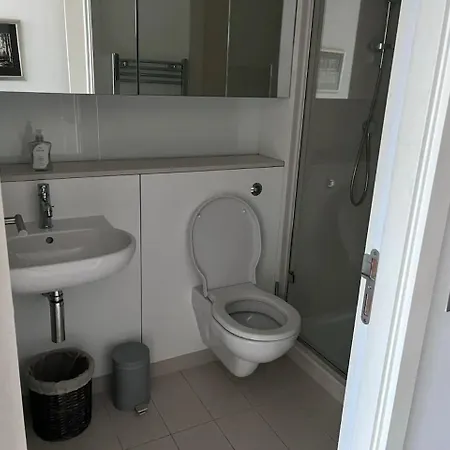 Large Modern 3br In Quartermile