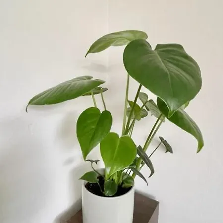 民宿 Double In 3 Bedroom House 爱丁堡