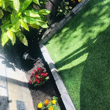 Lägenhet Entire To *