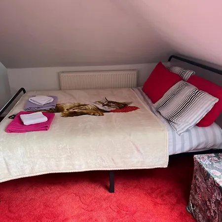 Relaxing, Cozy 1 Double Rum i privatbostad Edinburg
