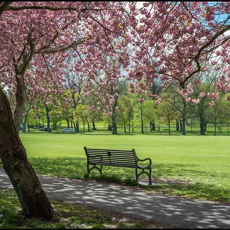 Apartament Lovely One-bedroom Meadows Park Location *