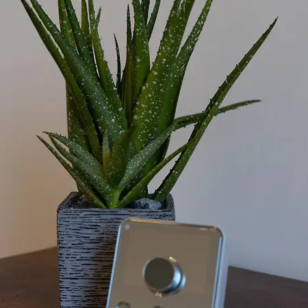 Apartment Immaculate One Bedroom Flat In The Centre *