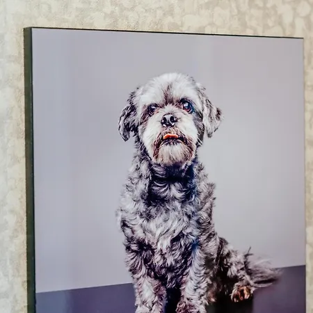 公寓 Roseburn Retreat 2b Free Parking *