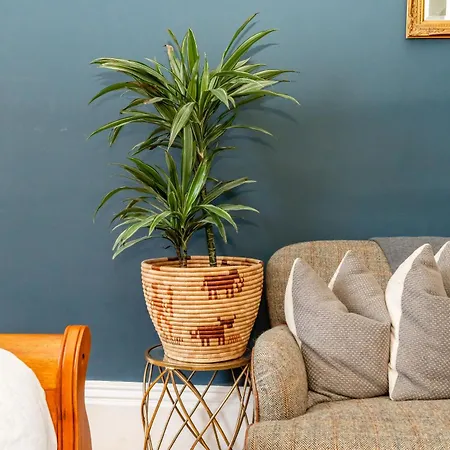 Apartment Stunning Flat, New Town, - Perfect Location Edinburgh