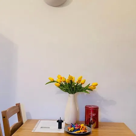 Spacious Peaceful Centre Retreat Apartament Edynburg