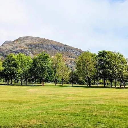 Rainforestlodge Edinburgh