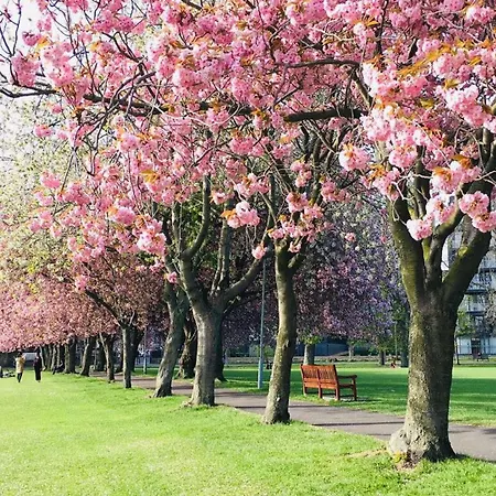 Lägenhet Centre - Meadows