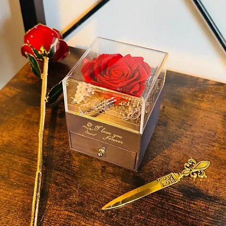 Centre - Meadows 公寓